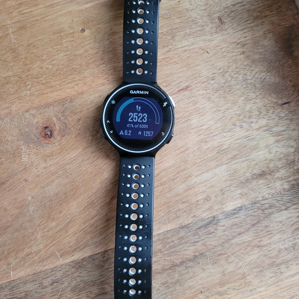 Garmin 230